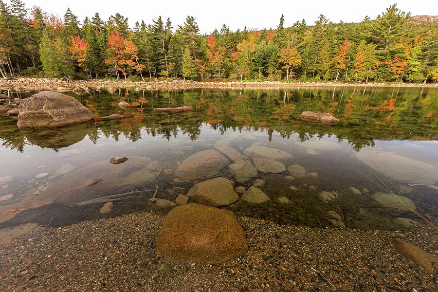 Jordan Pond Fall Reflection Photograph by Paul Schultz