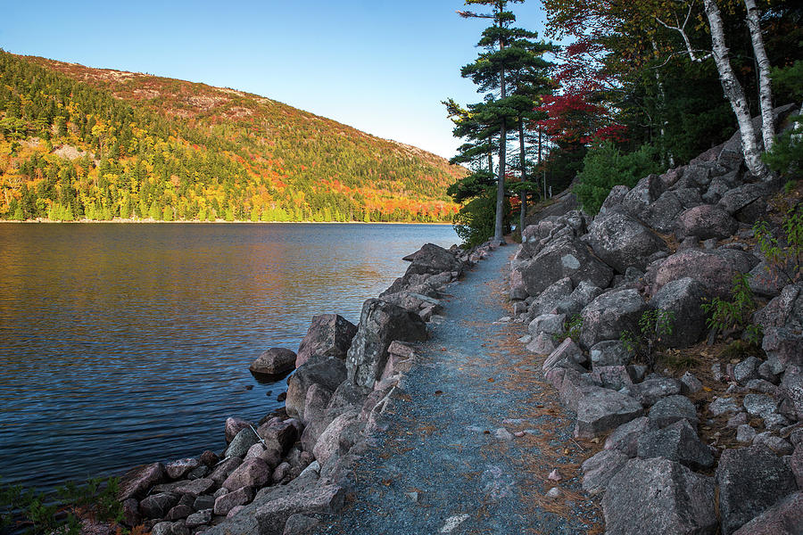 Jordan Pond Trail Morning Photograph by White Mountain Images