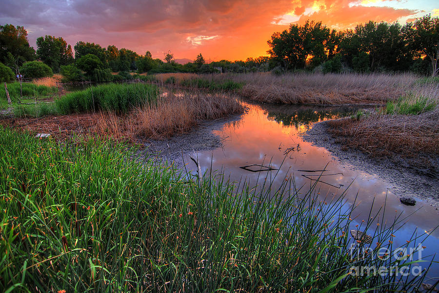 Jordan River Parkway Sunset 2 Photograph by Spencer Baugh
