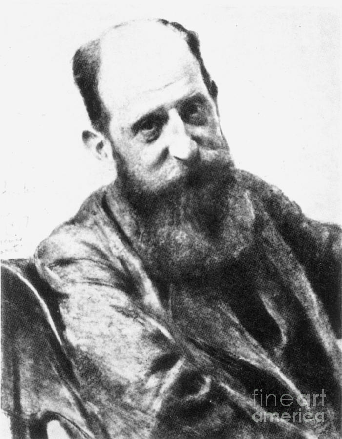 Josef Breuer 1842-1925 Photograph by Granger