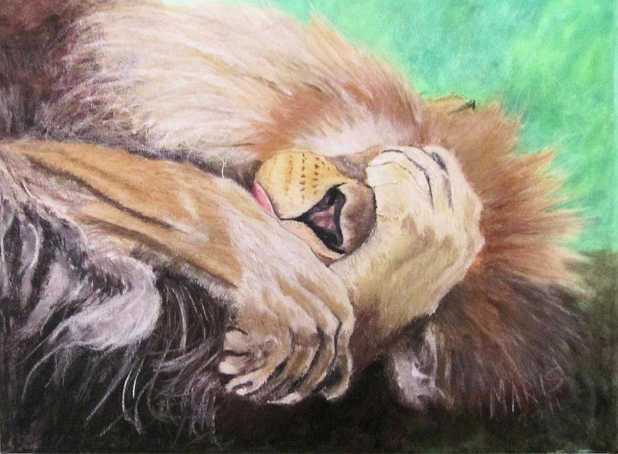 Joseph - Sleepy Lion Painting by Maris Sherwood