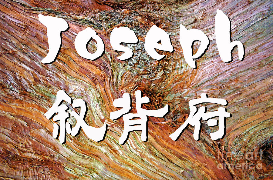 Joseph In Japanese Kanji Digital Art By Nobu Nihira Pixels