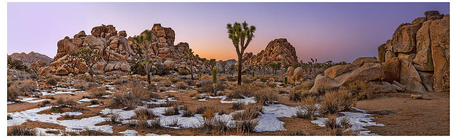 Joshua Panorama at Dusk Photograph by Kelley King Joshua Panorama at Dusk Photograph by Kelley King