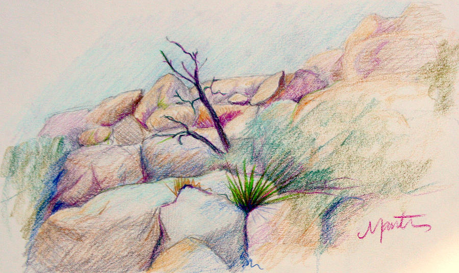 Nature Drawing - Joshua Tree  by Athena Mantle