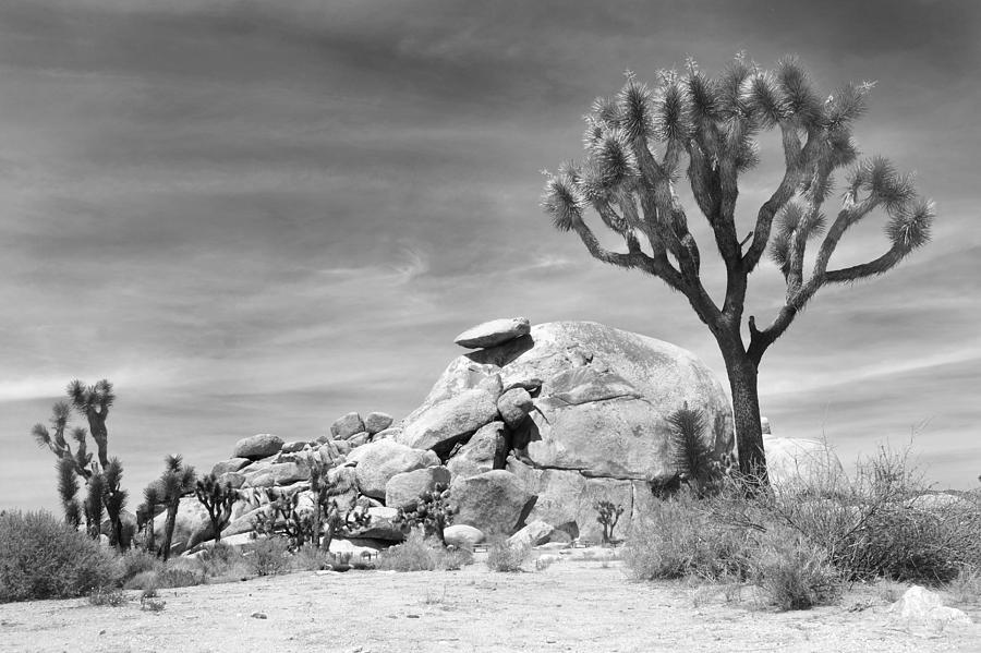 Joshua Tree Balanced Rock Photograph by Nathan Abbott