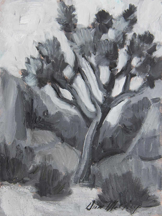 National Parks Painting - Joshua Tree Black and White Study by Diane McClary
