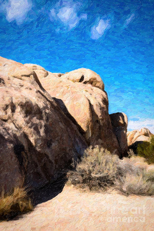 Joshua Tree CA 4 Photograph by Stefan H Unger