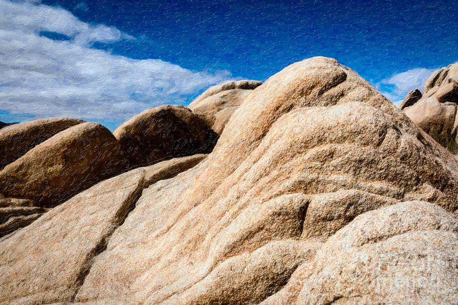 Joshua Tree CA 9 Photograph by Stefan H Unger
