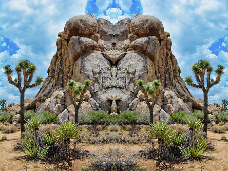 Joshua Tree Desert Mirror Photograph by Kyle Hanson