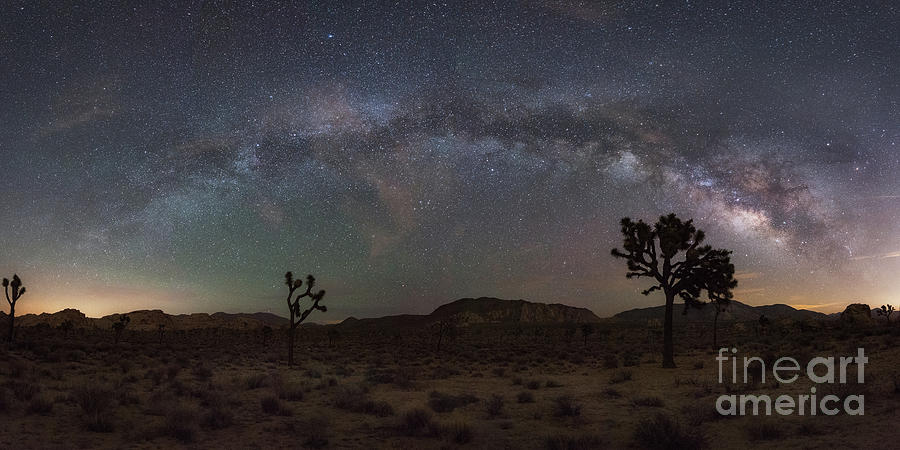 Joshua Tree Milky Way Panorama Photograph by Michael Ver Sprill