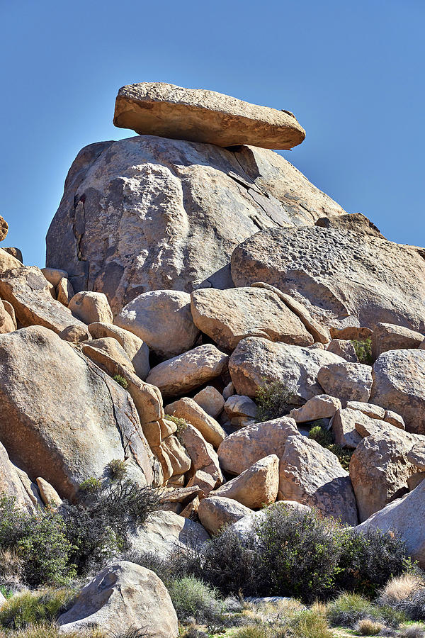 Joshua Tree Photograph - Joshua Tree Scenery by Paul Freidlund Joshua Tree Photograph - Joshua Tree Scenery by Paul Freidlund
