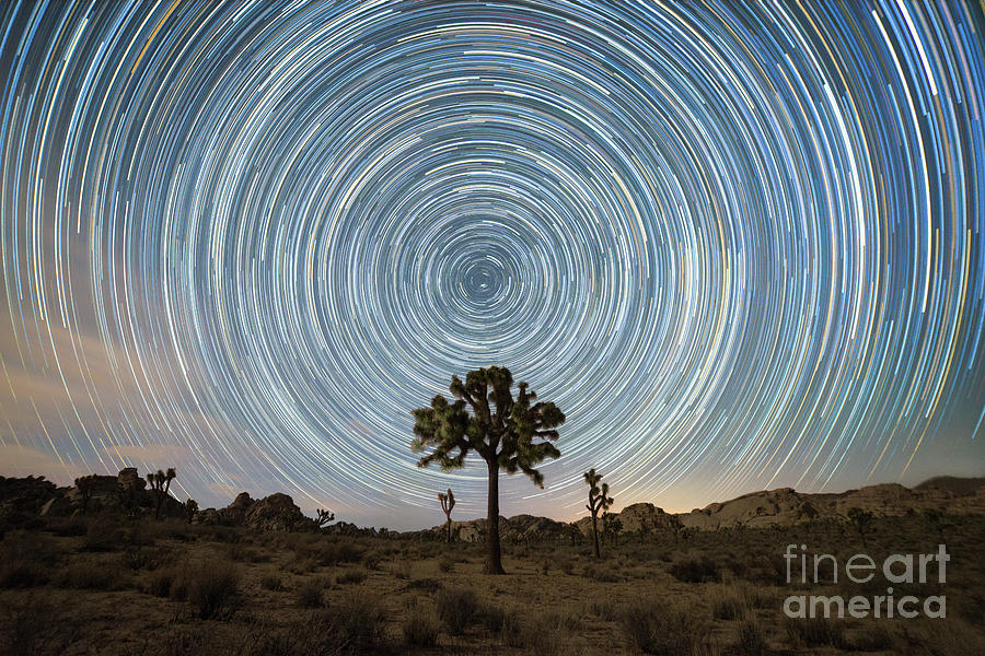 Joshua Tree Star Trails  Photograph by Michael Ver Sprill