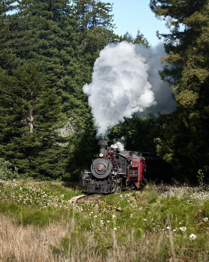 Journey by Steam Photograph by Betty Depee