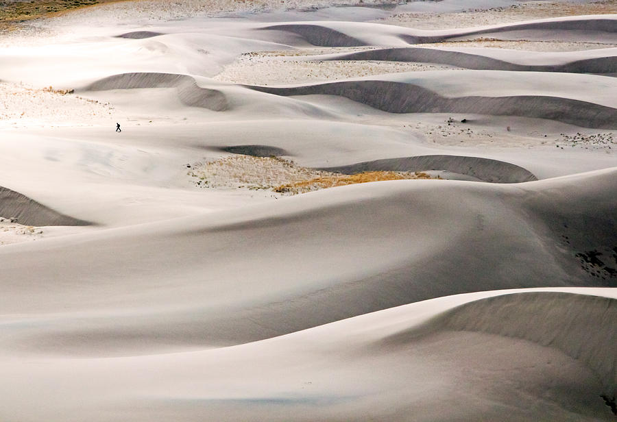 Desert Photograph - Journey by Nicholas Blackwell