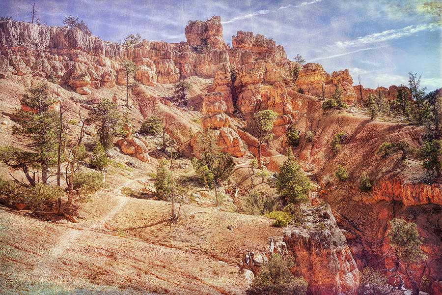 Journey Through Red Canyon Photograph