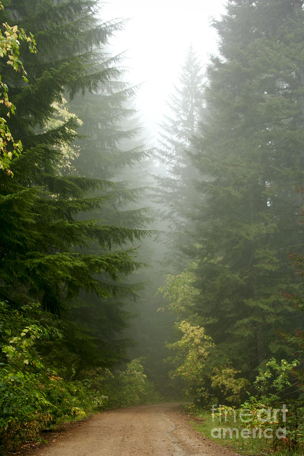 Journey through the fog Photograph by Idaho Scenic Images Linda Lantzy