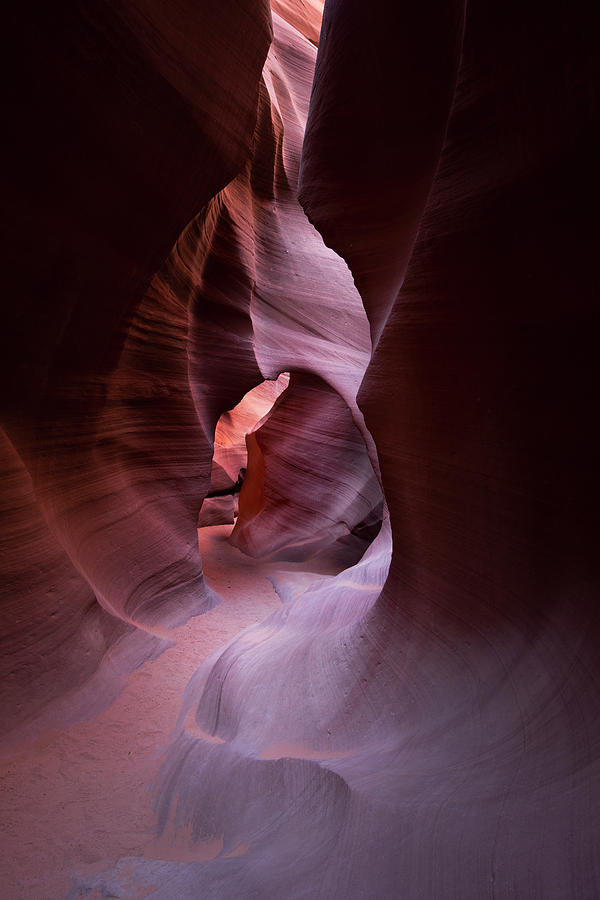 Antelope Canyon Photograph - Journey Thru the Shadows by Jon Glaser