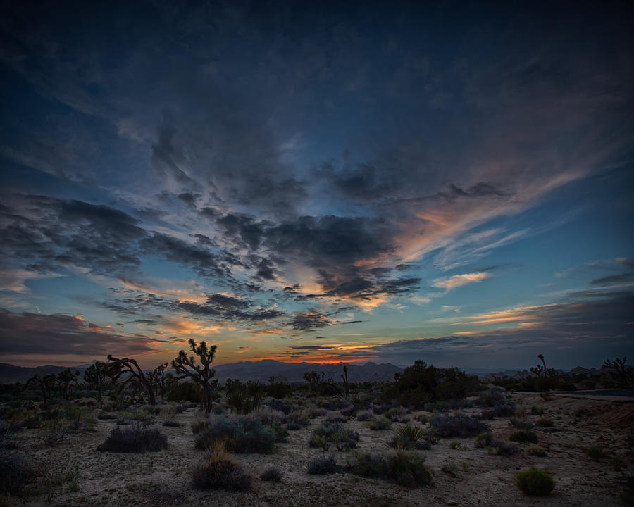 Twilight in the Desert. Photograph by Terry Leasa Fine Art America