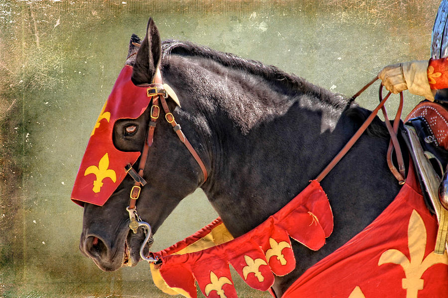 Jousting Horse In Red Photograph by Alice Gipson