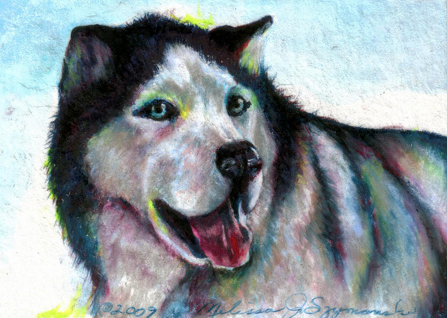 Jovial Nanook Drawing by Melissa J Szymanski - Fine Art America