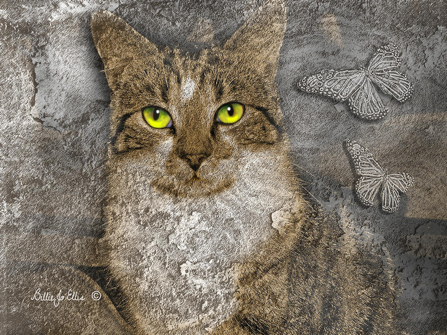 Cat Digital Art - Joxer Fly by Billie Jo Ellis