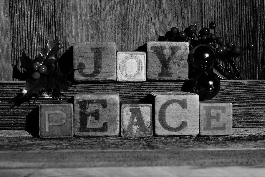 Joy and Peace black and white Photograph by Steven Clipperton