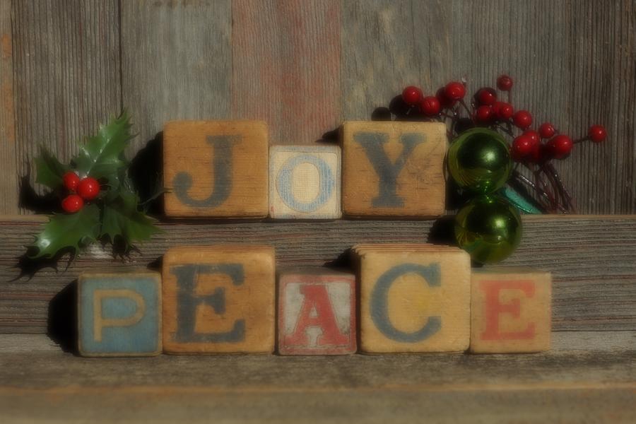Joy and Peace soft focus Photograph by Steven Clipperton