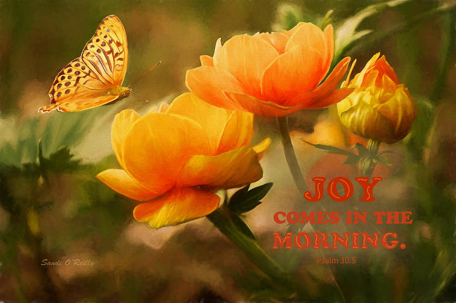 Joy Comes In The Morning Scripture Photograph by Sandi OReilly