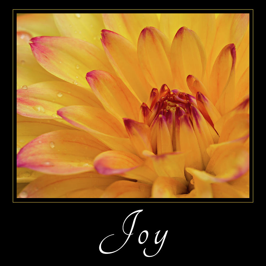 Joy Photograph by Mary Jo Allen