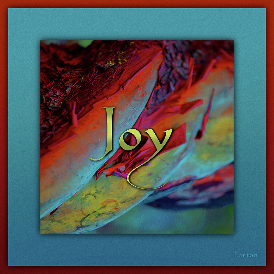 Joy Digital Art by Richard Laeton