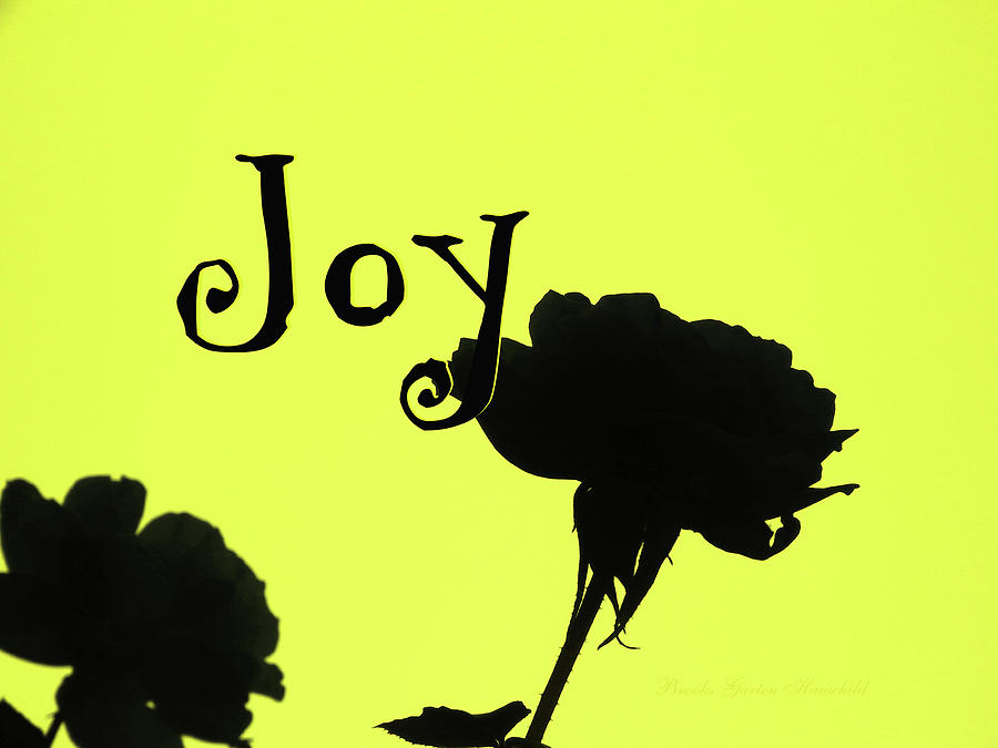 Joy Rose Silhouette - Original Floral Photographic Design - Roses Photograph by Brooks Garten Hauschild