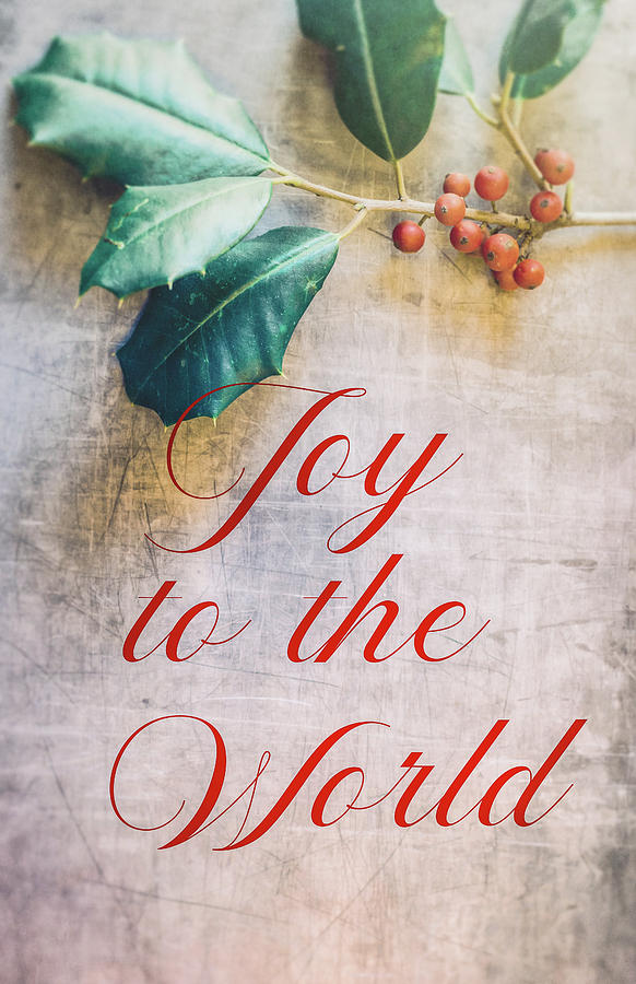 Joy to the World 2 Photograph by Andrea Anderegg