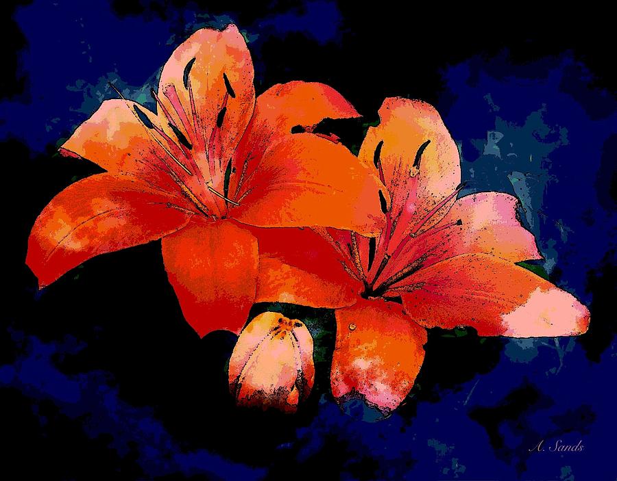 Joyful Lilies Photograph by Anne Sands