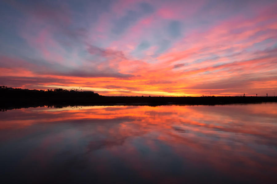 Joyous 2 Photograph by Thomas Kaestner - Fine Art America