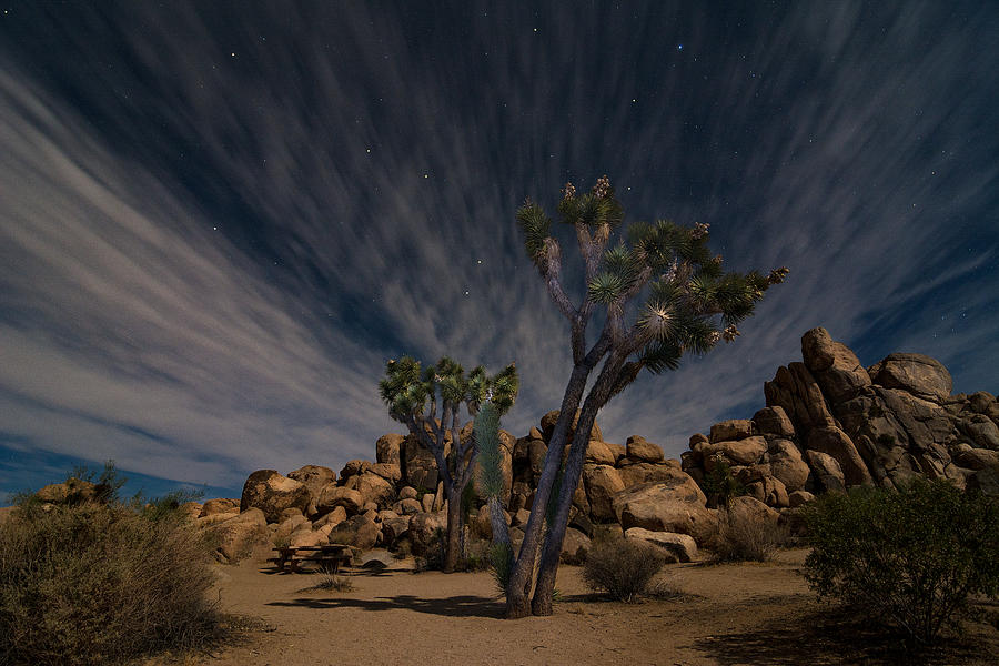JT Nightscape Photograph by Marilyn McFarlin JT Nightscape Photograph by Marilyn McFarlin