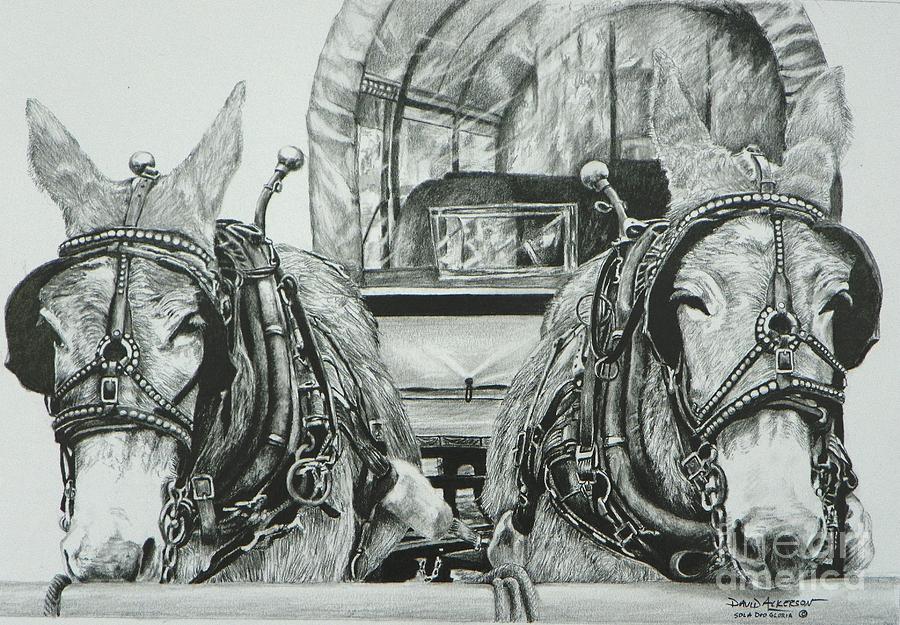 Wildlife Drawing - Jude and Claude by David Ackerson