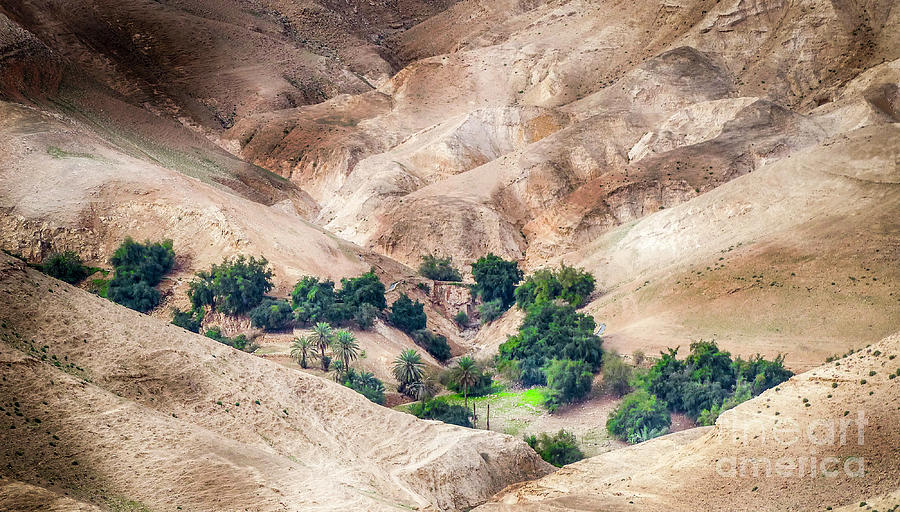 Judean Desert Wadi Qelt Photograph by Dan Yeger