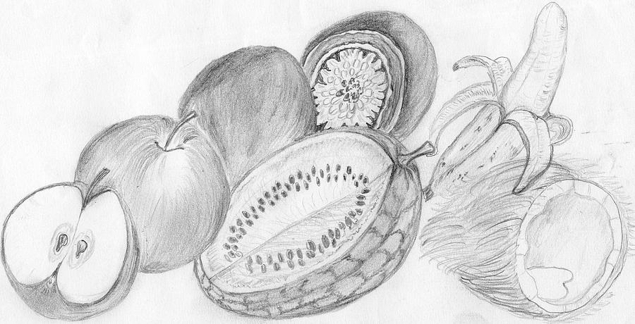 Hand-Drawn Fruit Sketches for a Rustic Touch