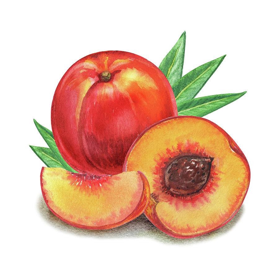 Juicy Peach Painting by Irina Sztukowski