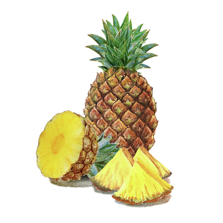 Juicy Pineapple Painting