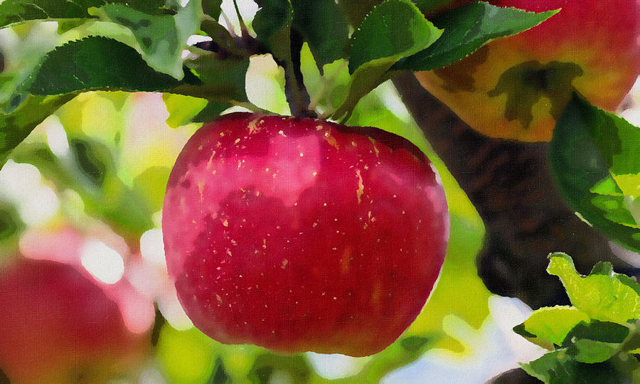 Fresh Organic Apples Painting by Jeelan Clark - Fine Art America