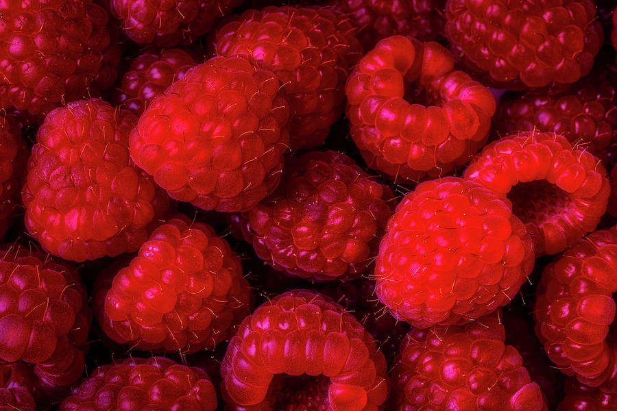 Raspberry Photograph - Juicy Red Raspberries by Garry Gay