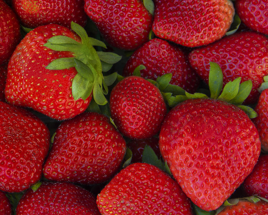 Juicy Red Strawberries Photograph by Mitch Spence