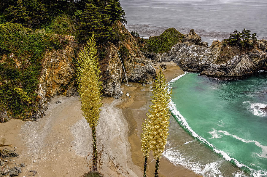 Julia Pfeiffer Burns State Park Photograph by Maria Coulson