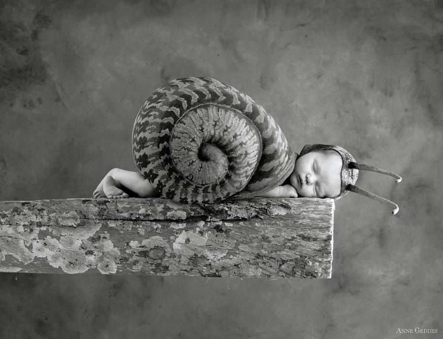 Black And White Photograph - Julia Snail by Anne Geddes