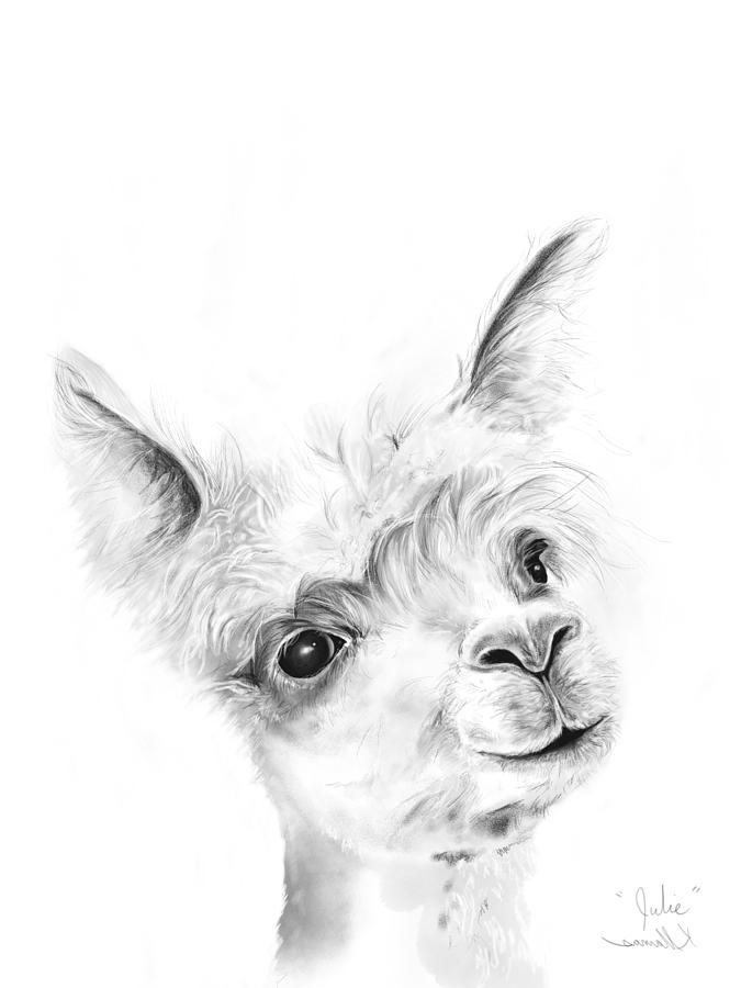 Llama Drawing - Julie by Kristin Llamas