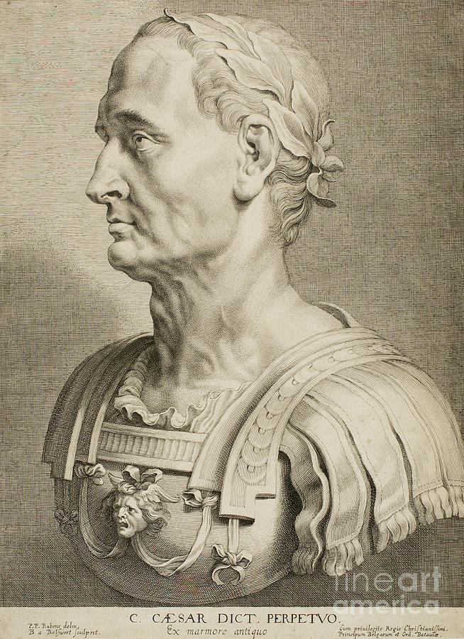 Julius Caesar Drawing - Julius Caesar by Roman School