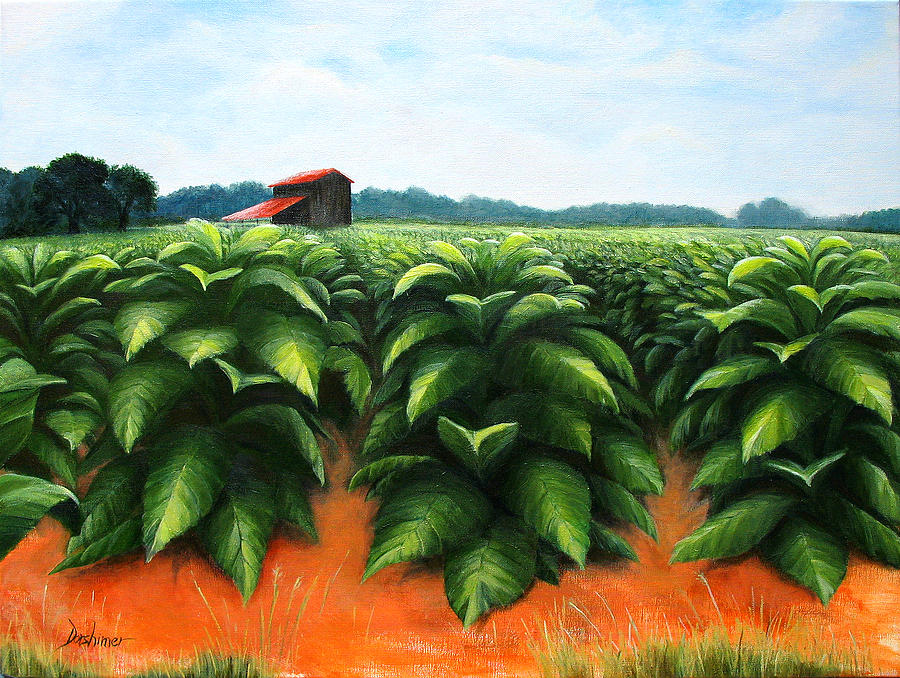 Landscape Painting - July Tobacco Field by Duane Dorshimer