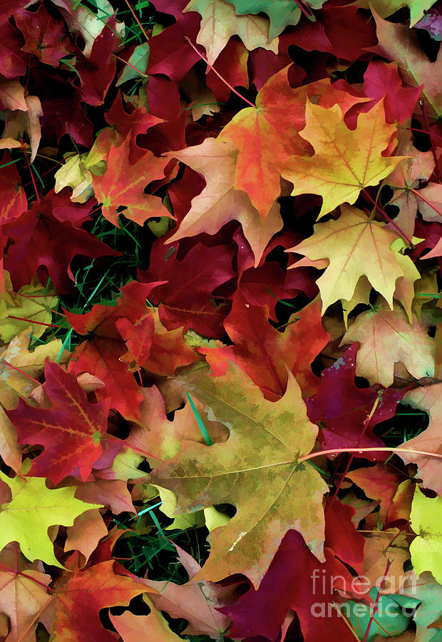 Jumble of Autumn Leaves with digital effects Digital Art by William Kuta