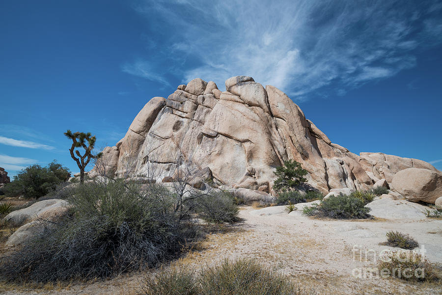 Jumbo Rocks at Joshua Tree Photograph by Michael Ver Sprill